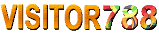 Visitor788